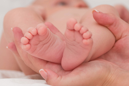 Soft newborn baby legs on a white background.の写真素材