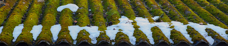 green roof, moss and fern on old roof.の写真素材