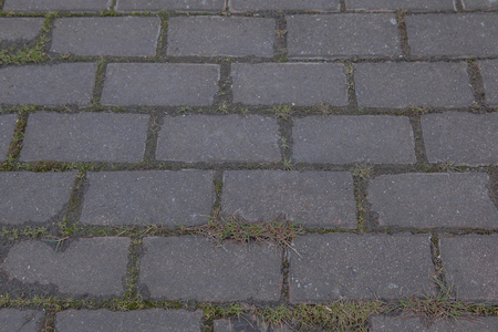 texture, background. The pavement of granite stone. Paved roadway street. any paved area or surface. Old cobblestone road pavement texture, grass between stones.の写真素材