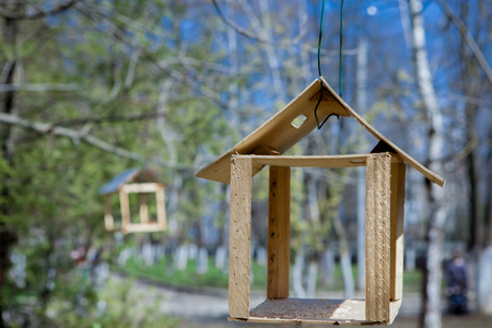 wooden bird feeder hanging on a branch of green tree. Nature care concept.の写真素材
