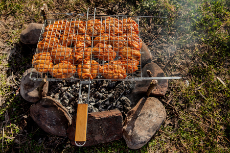Juicy slices of meat cooking on an open flame .Grill on charcoal and flame picnic street food.の写真素材