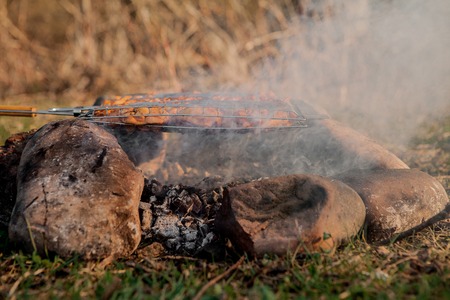 Juicy slices of meat cooking on an open flame .Grill on charcoal and flame picnic street food.の写真素材