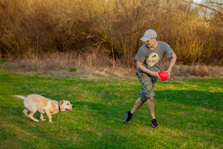 The man trains the dog. Educating dog. Play with a pet. Dog handler.の写真素材