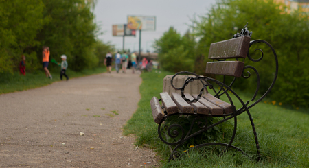 Bench in the summer park with old trees and footpath.の写真素材