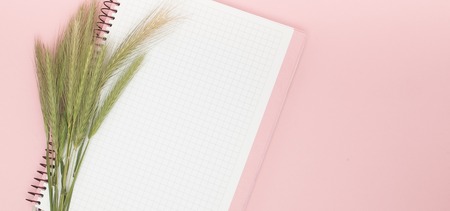 Blank notebook with wheat spike on pink background.の写真素材