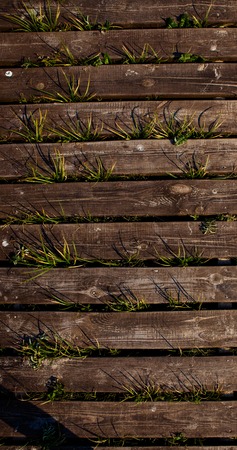 Wooden bridge on the green grass. Low bridges - a path among the grass.の写真素材