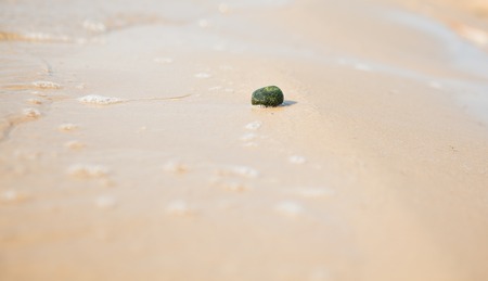 Pebble on a beach with the sea in the background.の写真素材