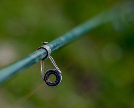 Fishing rod rings close up with blurred background.の写真素材