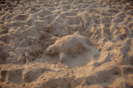 Sand sculpture of a sea turtle.の写真素材