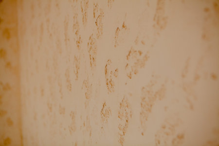 background, decorative plaster on the wall, horizontal, texture, structure.