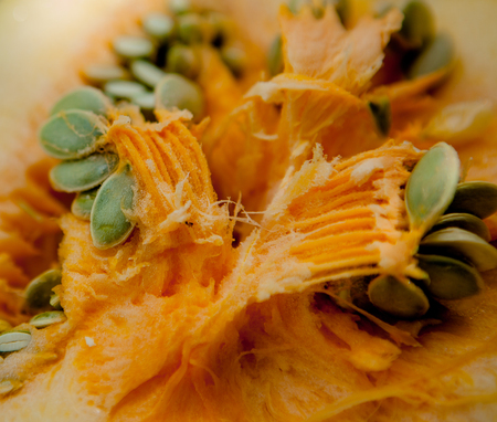 orange pumpkin close-up. Inside top view.の写真素材