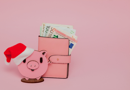 Pink Christmas pig and purse with euro on the pink background.の写真素材