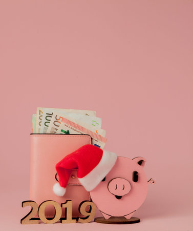 Pink Christmas pig and purse with euro and inscription 2019 on a pink background.