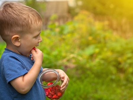 Little boy eating fresh raspberries. Fresh berries. Concept of healthy eating.の写真素材