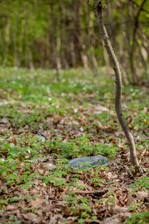 Plastic trash in the forest. Tucked nature. Plastic container lying in the grass.の写真素材