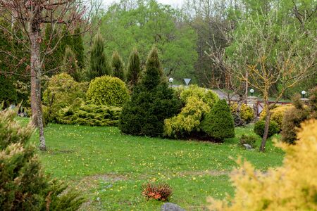 Garden, landscape of geometric shape bush and shrub decorate with colorful flower blooming in green.の写真素材
