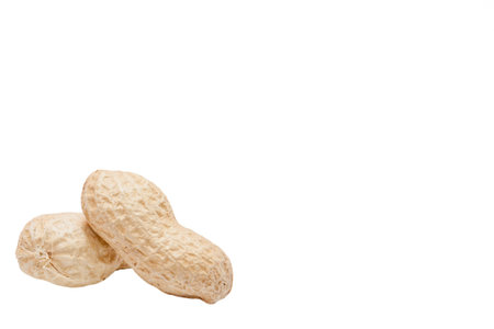 Large peeled peanuts close-up of beans in the shell. Unpeeled peanuts in the shell. Peanuts, for...