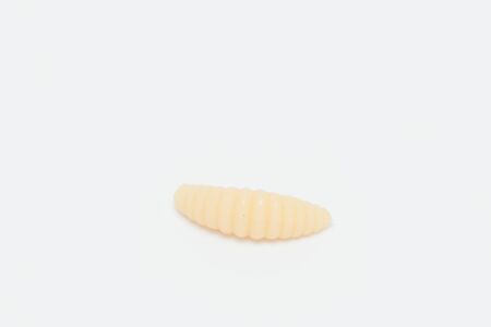 Artificial fishing larvae of insects on white background with soft shadow.の写真素材