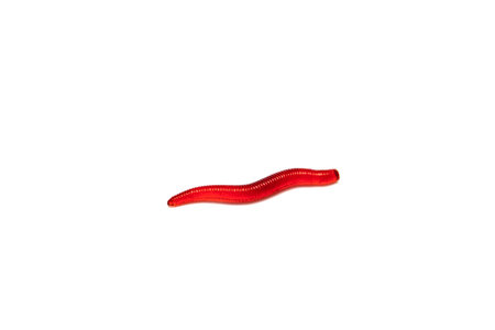Artificial fishing larvae of insects on white background with soft shadow.