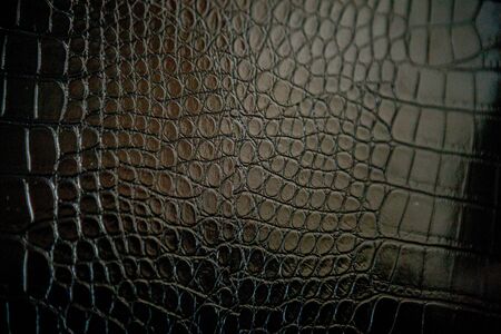 Black crocodile leather texture with for background.の写真素材