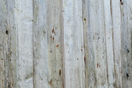 Background texture of old white painted wooden lining boards wall