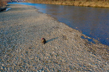 Garbage near the river. Environmental pollution shore.の写真素材
