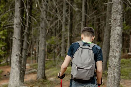 A man is a tourist in a pine forest with a backpack. A hiking trip through the forest. Pine reserve for tourist walks. A young man in a hike in the summer, rear viewの写真素材