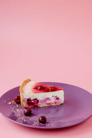 Slice of plain cheesecake with cranberry sauce on white plate decorated with mint leaf. Closeup viewの写真素材