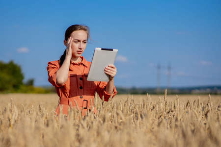 Woman caucasian technologist agronomist with tablet computer in the field of wheat checking quality and growth of crops for agriculture. Agriculture and harvesting conceptの写真素材