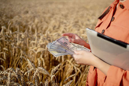 Young farmer holding dollars in golden wheat field. Profit from agriculture during harvesting season in the summer.の写真素材