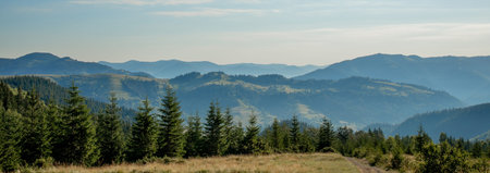 Panorama of Carpathian mountains in summer sunny day. Beauty world. Large resolution.