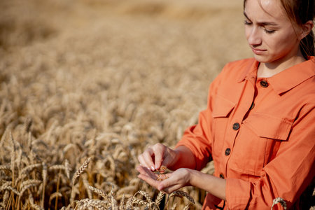 Farmer with tablet and test tube researching plant in wheat field.Agriculture and harvesting concept. Agro businessの写真素材
