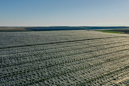 Aerial view of plastic greenhouse on apple orchard. Plant cultivation in organic farming