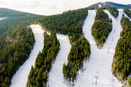 Aerial view of landscape of ski and snowboard slopes through pine trees going down to winter resort in Carpathians.の写真素材