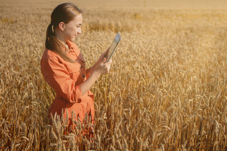 Woman caucasian technologist agronomist with tablet computer in the field of wheat checking quality and growth of crops for agriculture. Agriculture and harvesting conceptの写真素材
