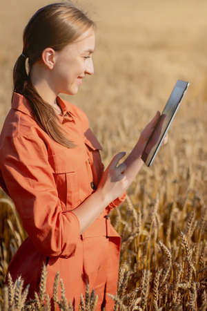 Caucasian Agronomist checking the field of cereals and sends data to the cloud from the tablet. Smart farming and digital agriculture conceptの写真素材