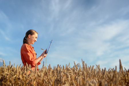 Caucasian Agronomist checking the field of cereals and sends data to the cloud from the tablet....