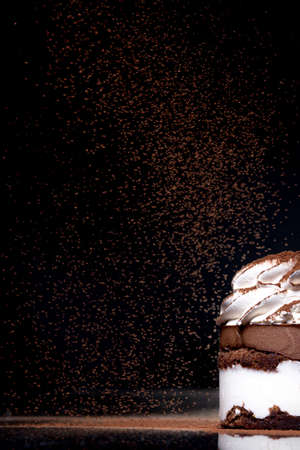 Side view of a fresh baked chocolate cake sprinkled with cocoa on countertop with dark background. Low key. Winter food and drink concept. Selective focus.の写真素材