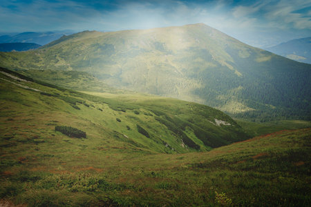 Carpathians mountain range at summer morning. Beauty of wild virgin Ukrainian nature. Peacefulness.