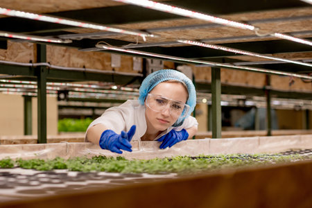 Young woman farmer scientist analyzes and studies research on organic, hydroponic vegetable plots -...