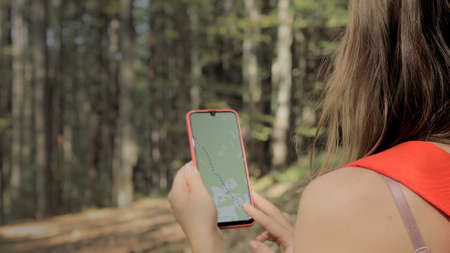 Woman standing in middle of forest, using navigation app on smartphone, following route with help of map, looking at device screen, using smartphone navigation while losing yourself in forestの写真素材