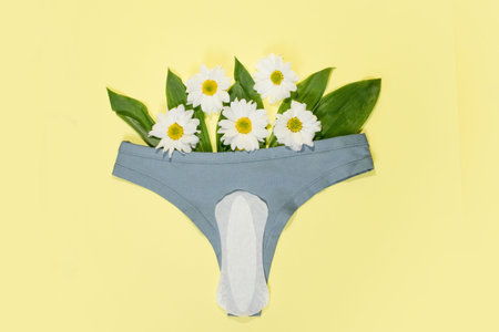 White daily feminine pads and cotton panties. Intimate hygiene.