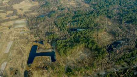 Aerial drone view of deforestation of a pine forest. Ecology concept change tree forest drought and forest refreshingの写真素材