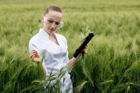 Young female ecologist scientist in goggles standing in green field and working on glass transparent screen.の写真素材