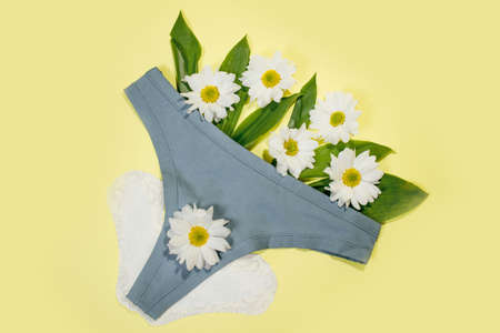 White daily feminine pads and cotton panties. Intimate hygiene.の写真素材