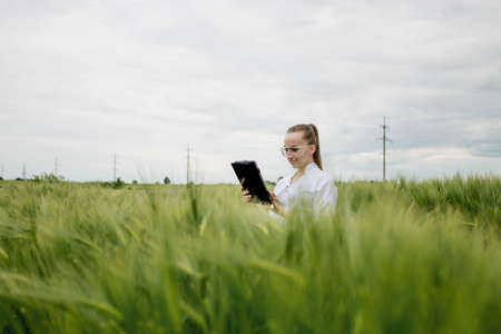 Young woman farmer wearing white bathrobe is checking harvest progress on a tablet at the green wheat field. New crop of wheat is growing. Agricultural and farm conceptの写真素材