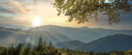 Panorama of Carpathians mountain range at summer morning. Beauty of wild virgin Ukrainian nature. Peacefulnessの写真素材