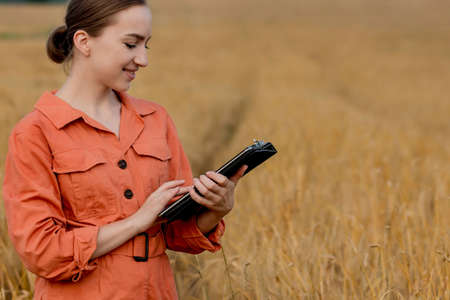 Woman caucasian technologist agronomist with tablet computer in the field of wheat checking quality and growth of crops for agriculture. Agriculture and harvesting conceptの写真素材