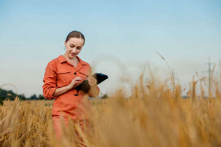 Agronomist farmer with digital tablet computer in wheat field using apps and internet. Smart farming using modern technologies in agricultureの写真素材