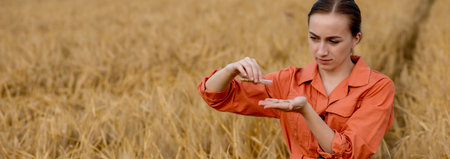 Agronomist holding test tube with barley grains in field, closeup. Cereal farming, oncept of wheat...
